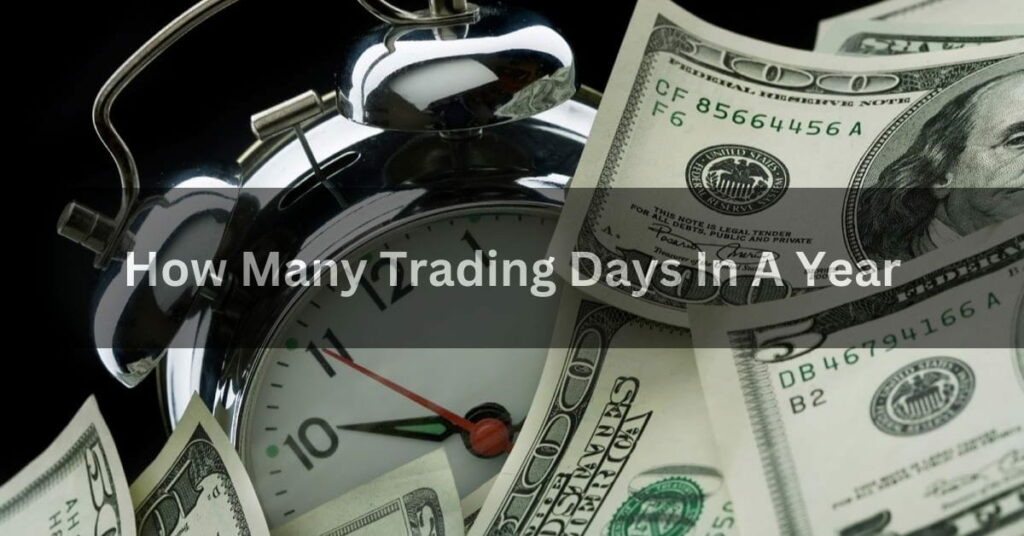 How Many Trading Days In A Year A Complete Guide In 2024!