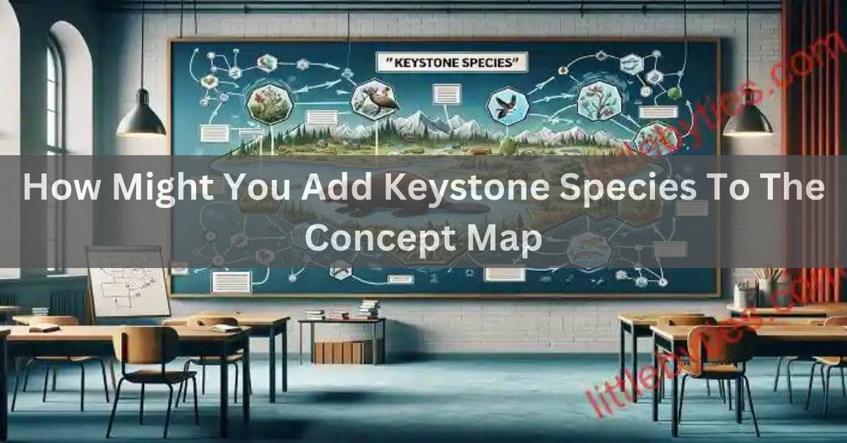How Might You Add Keystone Species To The Concept Map!