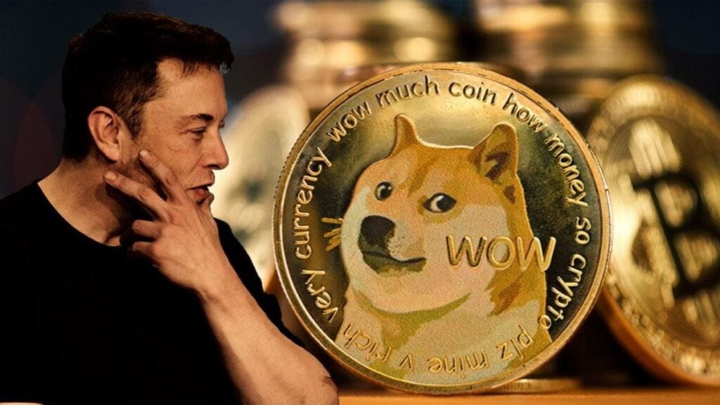 Importance of Dogecoin Quizzes!