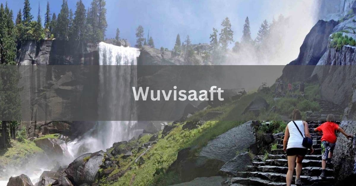 Wuvisaaft - A Comprehensive Overview In 2024!