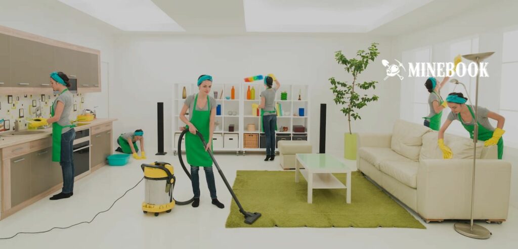 House Cleaning or Organizing Services