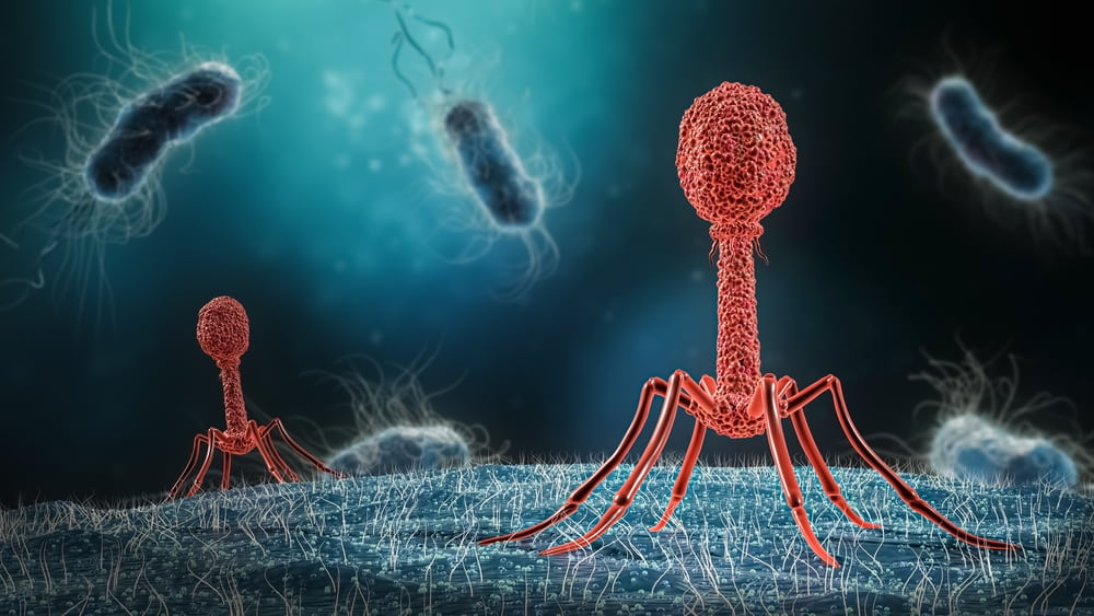 Current Research on Viruses and Bacteria
