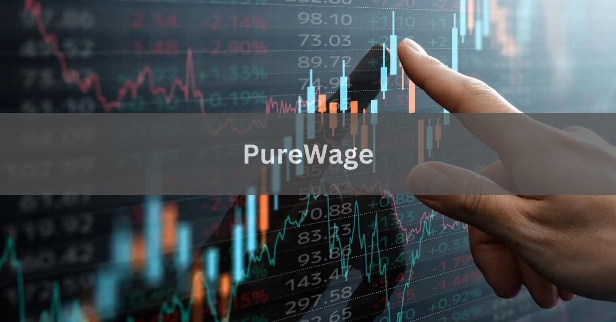 PureWage - A Comprehensive Overview In 2024!