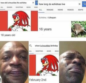 How Long Do Idiots Live - A Complete Overview In 2024