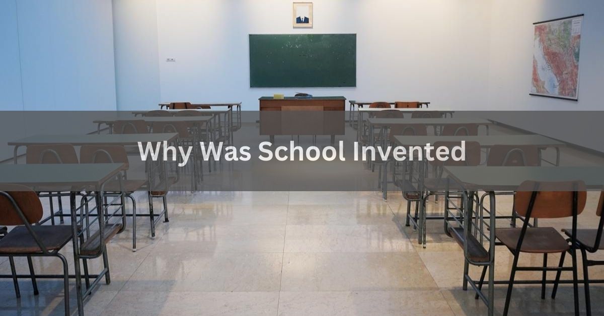 Why Was School Invented - A Complete Overview In 2024!