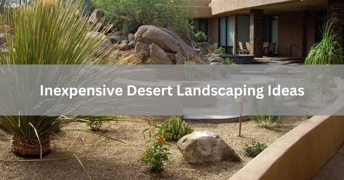 Inexpensive Desert Landscaping Ideas