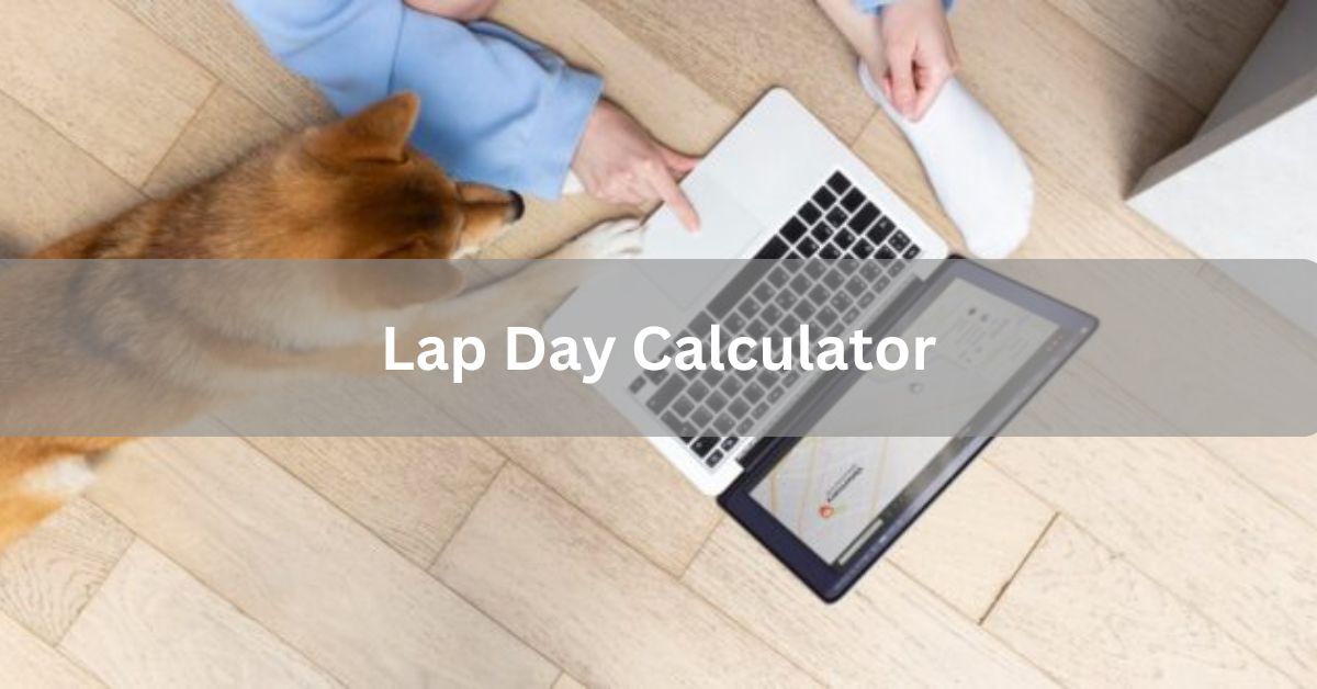 Lap Day Calculator