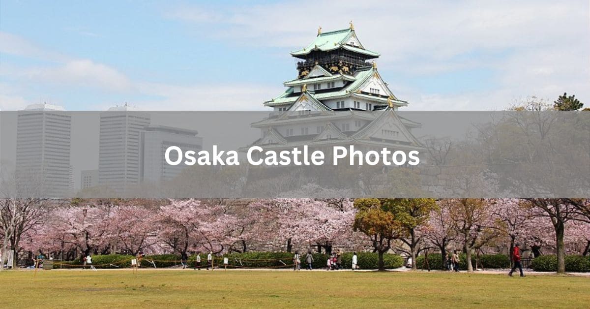 Osaka Castle Photos
