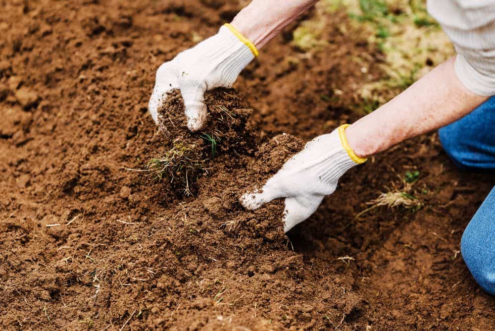 Unraveling Autobà’s Soil Enrichment Techniques: