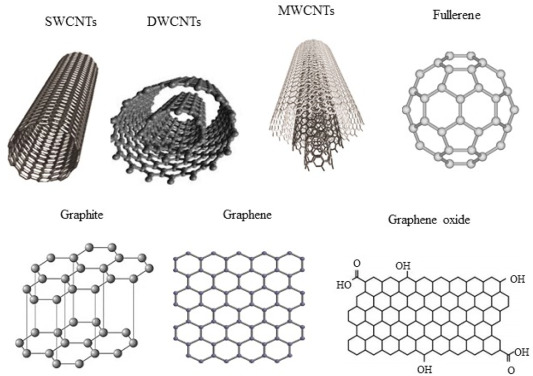 Fullerenes and Nanotubes