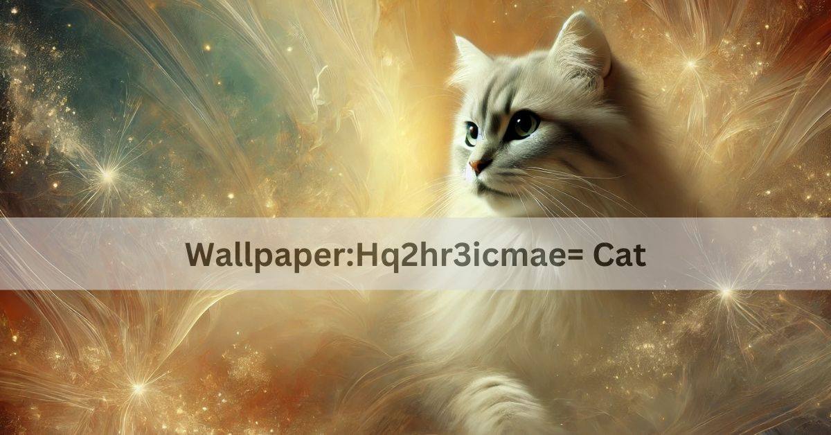 Wallpaper:Hq2hr3icmae= Cat