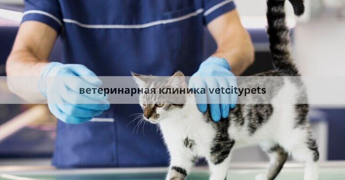 ветеринарная клиника vetcitypets