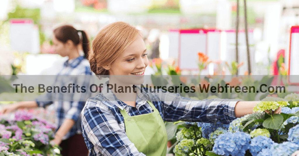 The Benefits Of Plant Nurseries Webfreen.Com